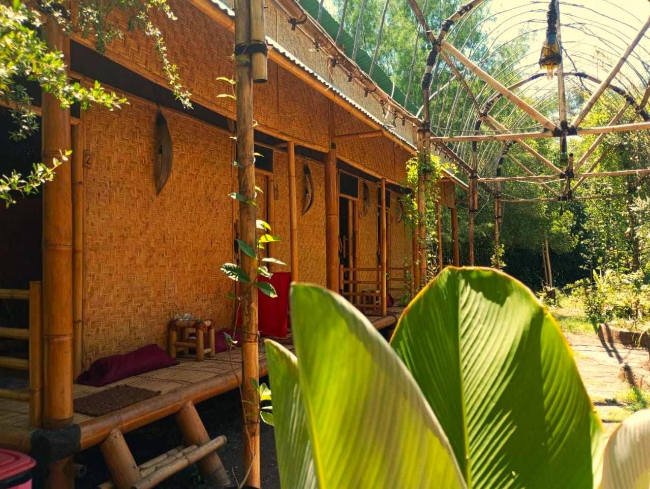 Uncle Hippie'S Dream Hostel Gili Meno Exterior photo