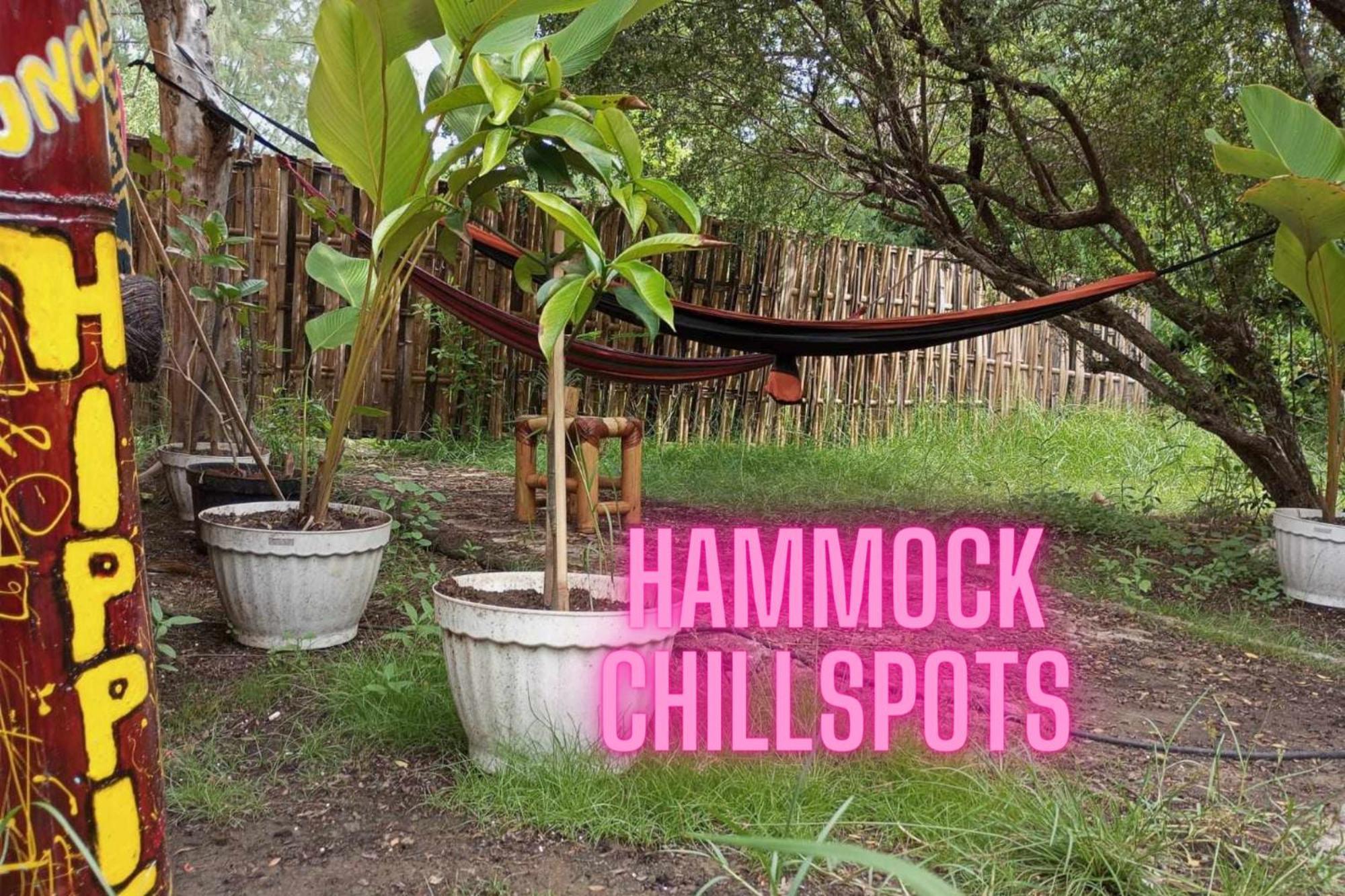 Uncle Hippie'S Dream Hostel Gili Meno Exterior photo