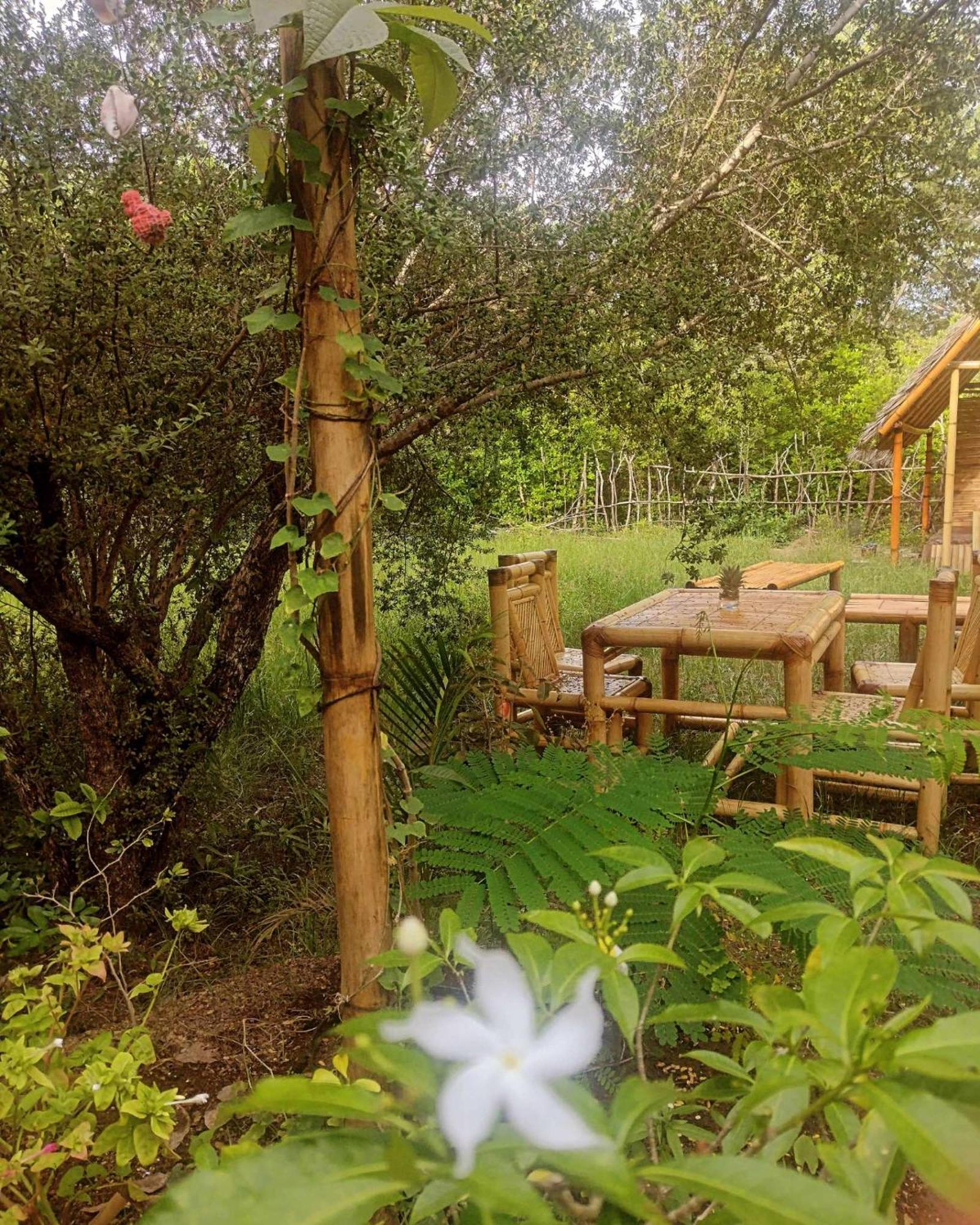 Uncle Hippie'S Dream Hostel Gili Meno Exterior photo