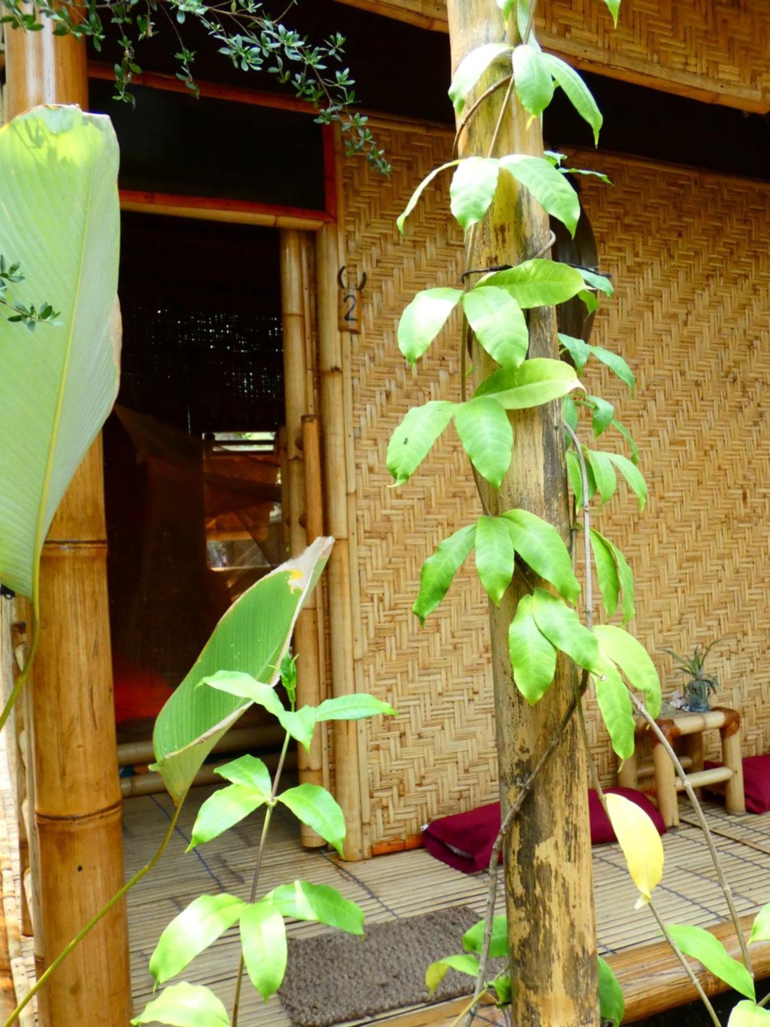 Uncle Hippie'S Dream Hostel Gili Meno Exterior photo